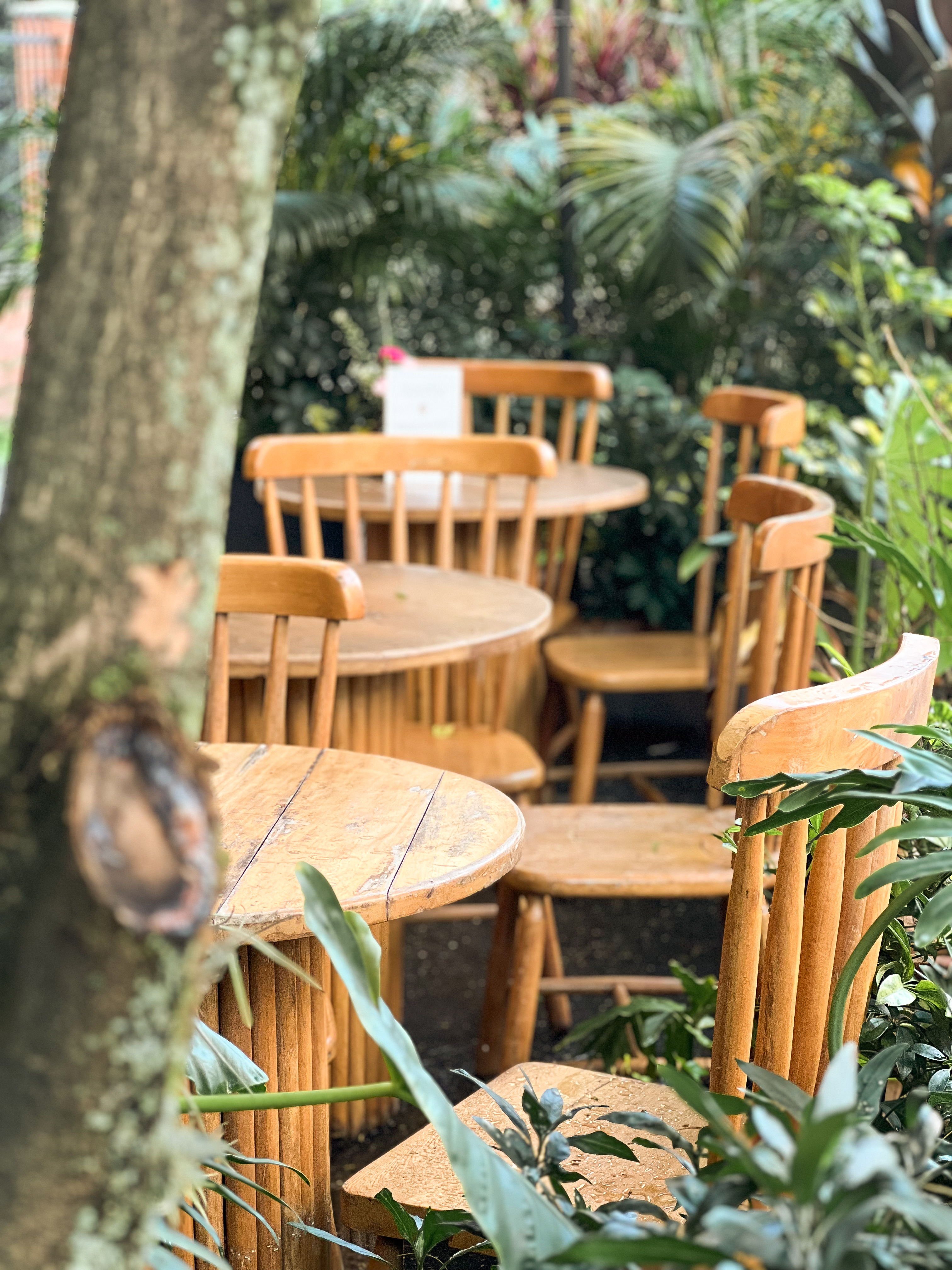 Amelier Café Calasanz