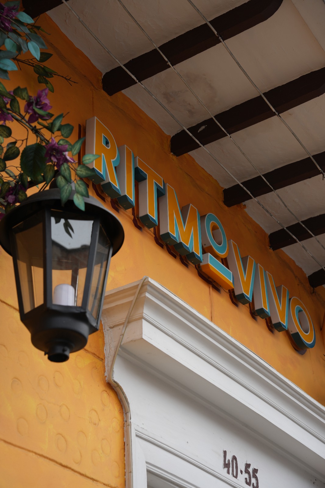 Ritmo Vivo