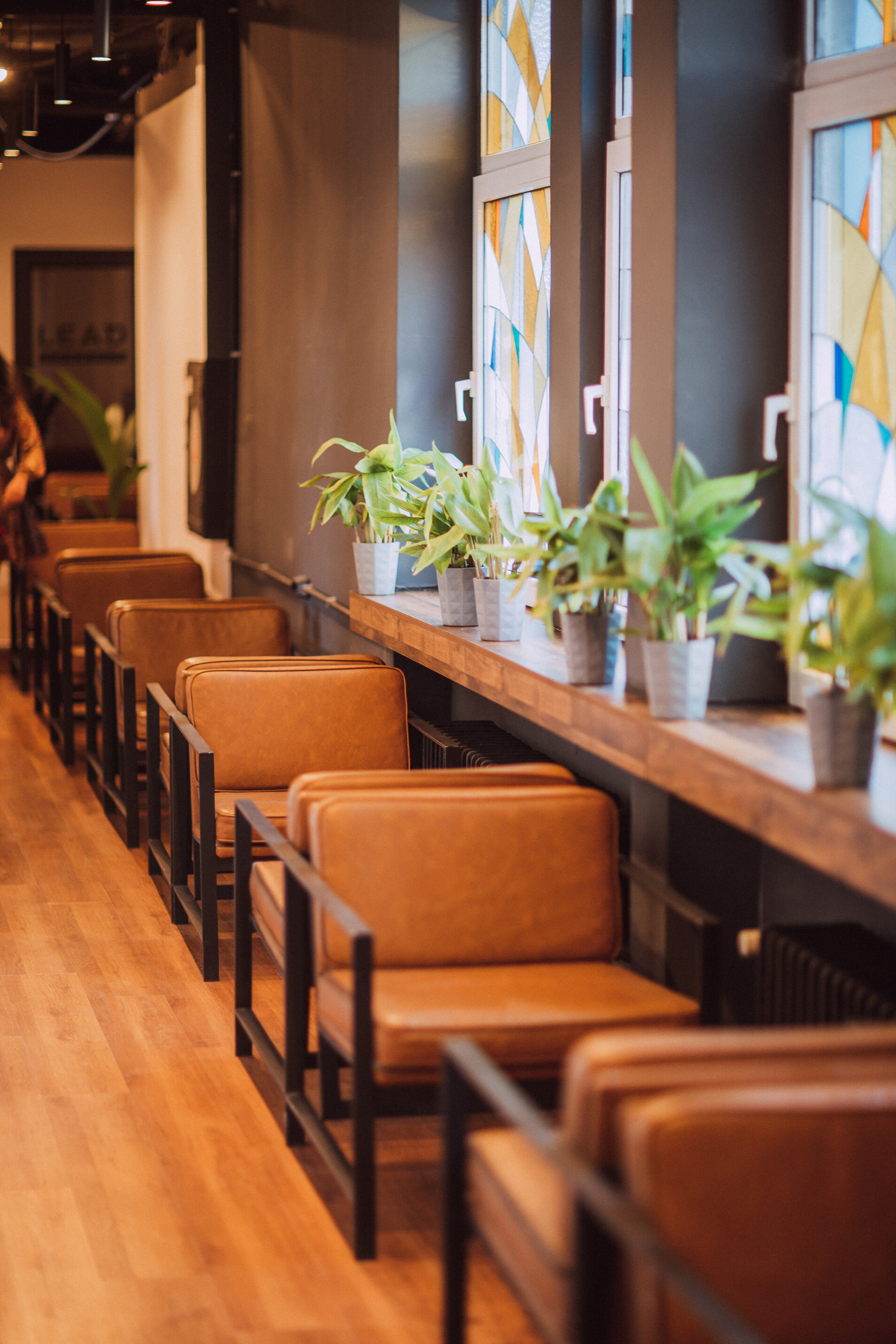 NETWORKING Premium Gurko Panorama