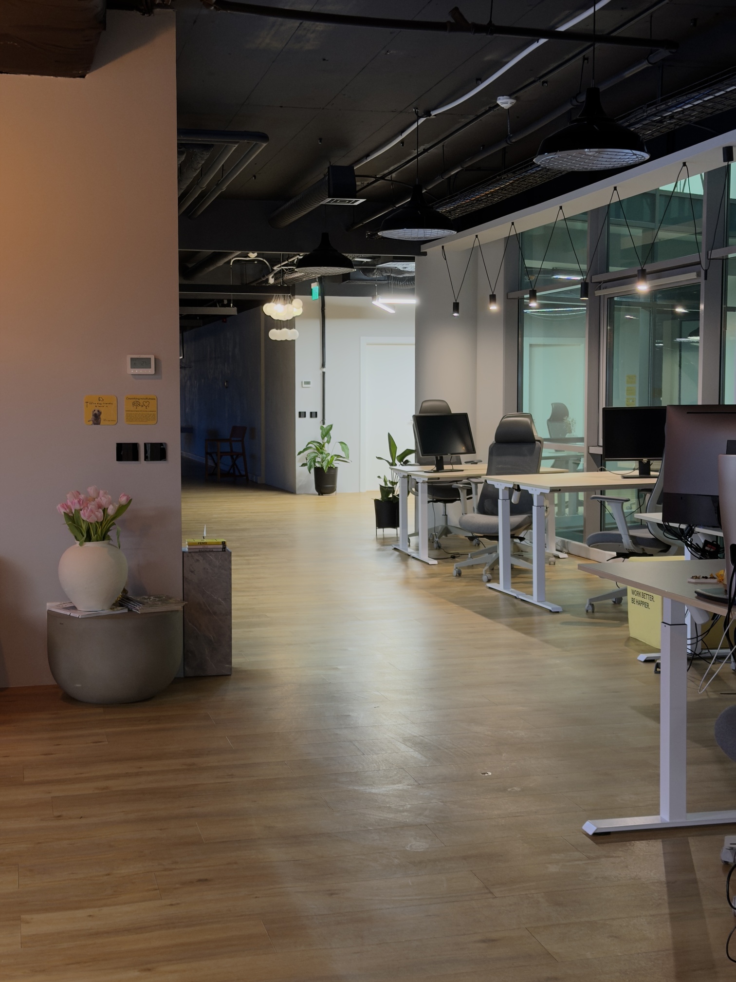 V7 Startup Studio Opera
