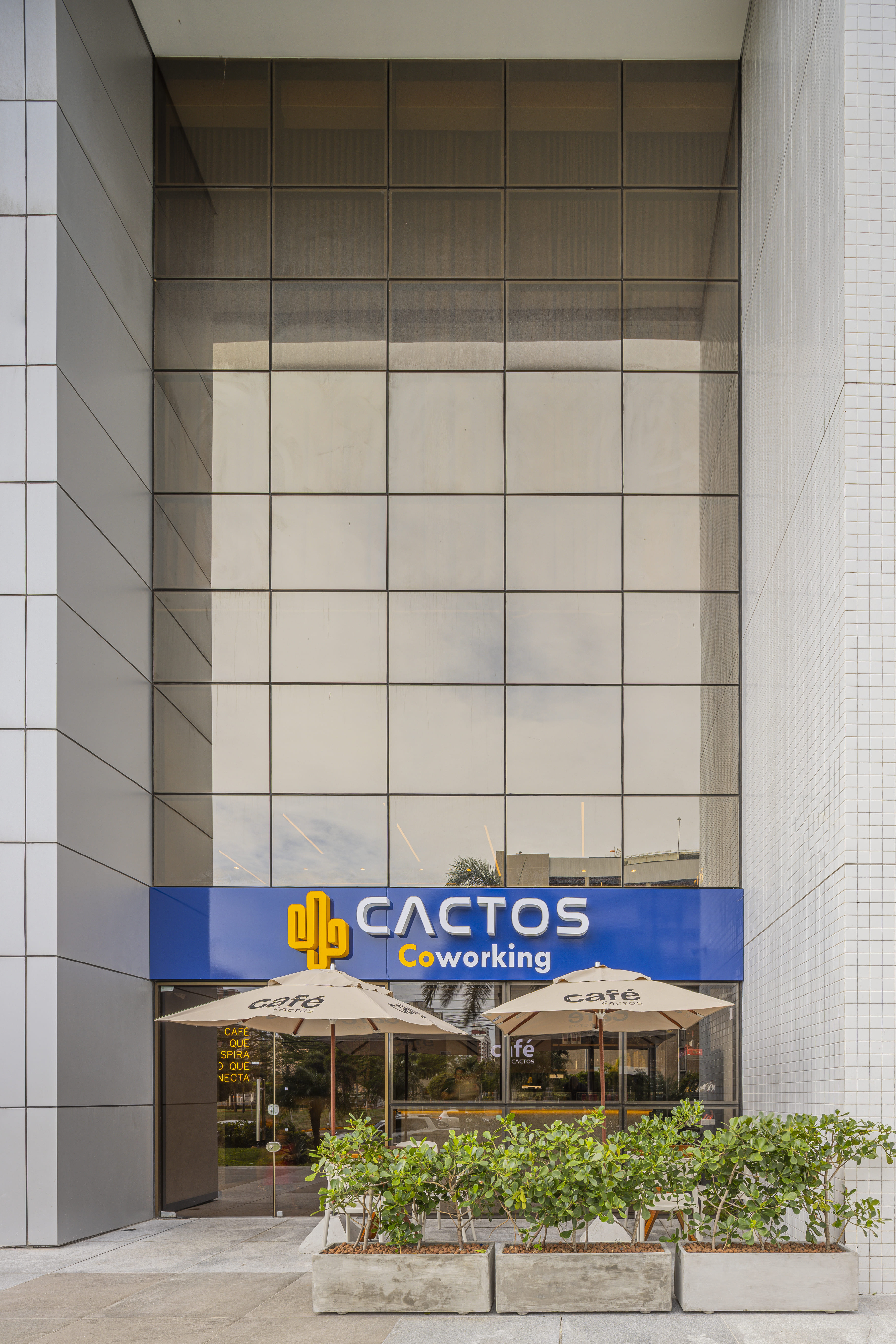 Cactos Coworking