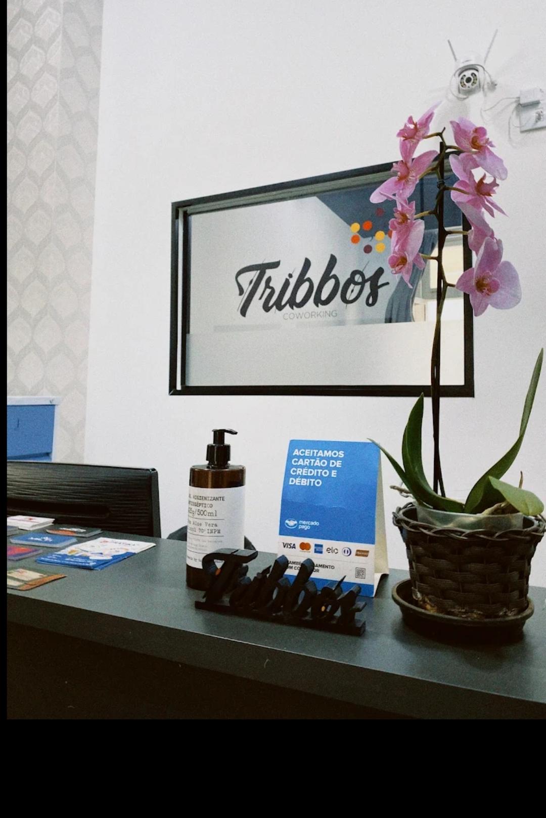Tribbos Coworking