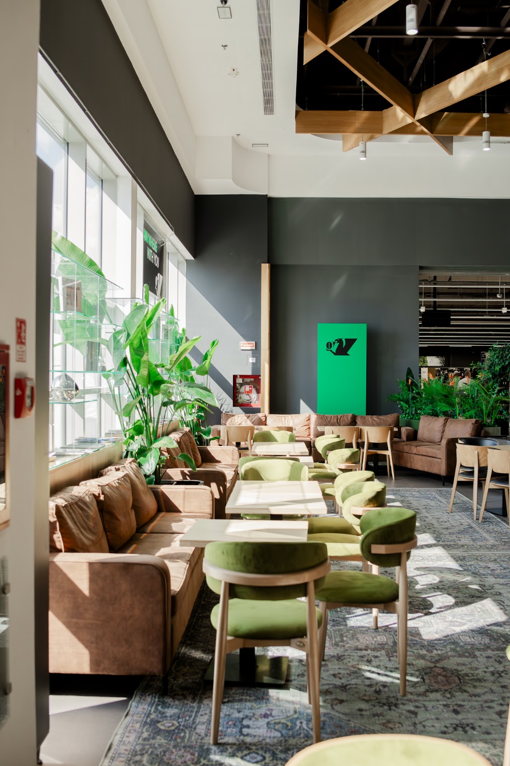 Olivo Coffee Culture - Vivo