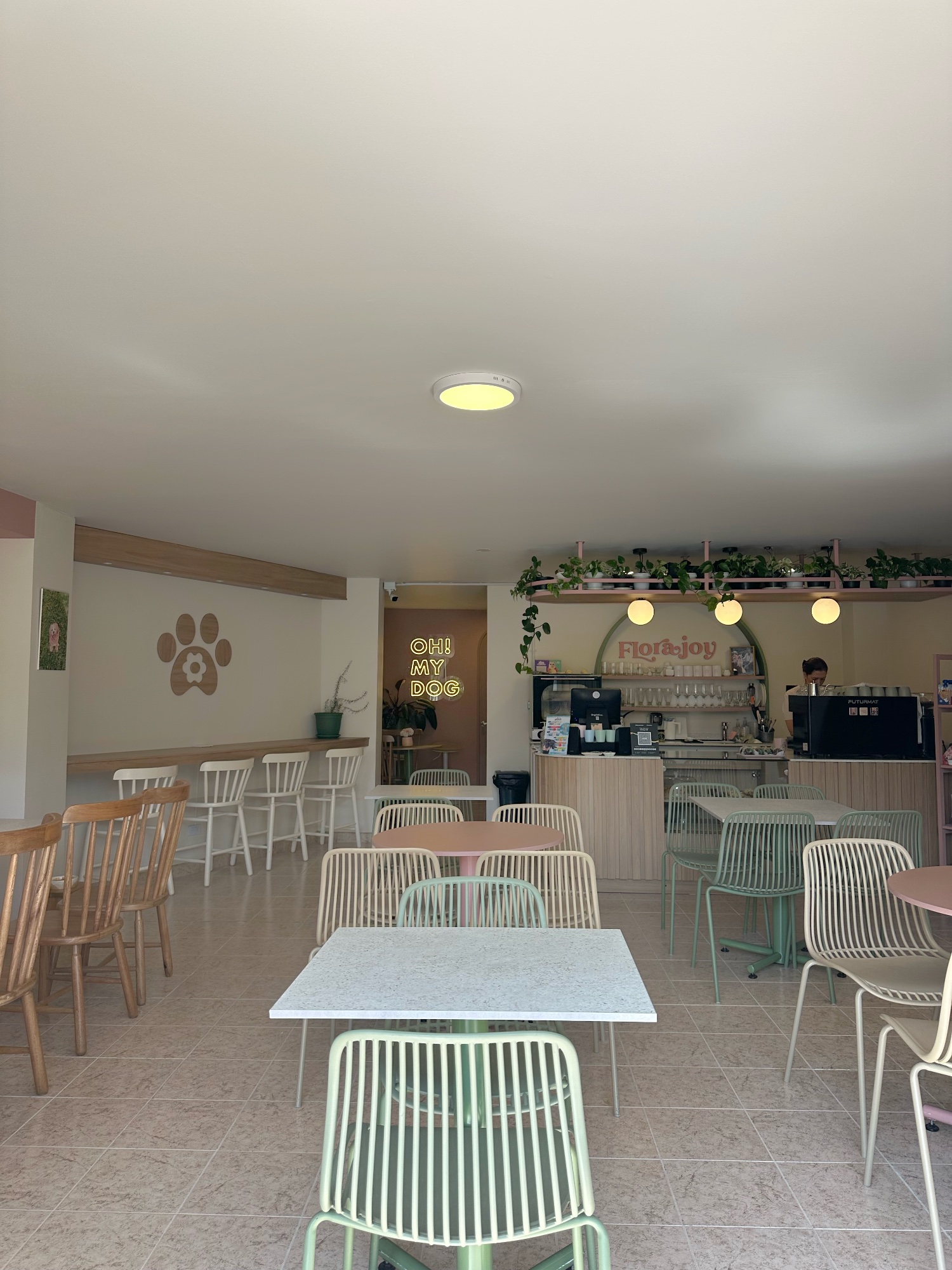 Florajoy Pets | All day brunch • Pet Café • Coworking