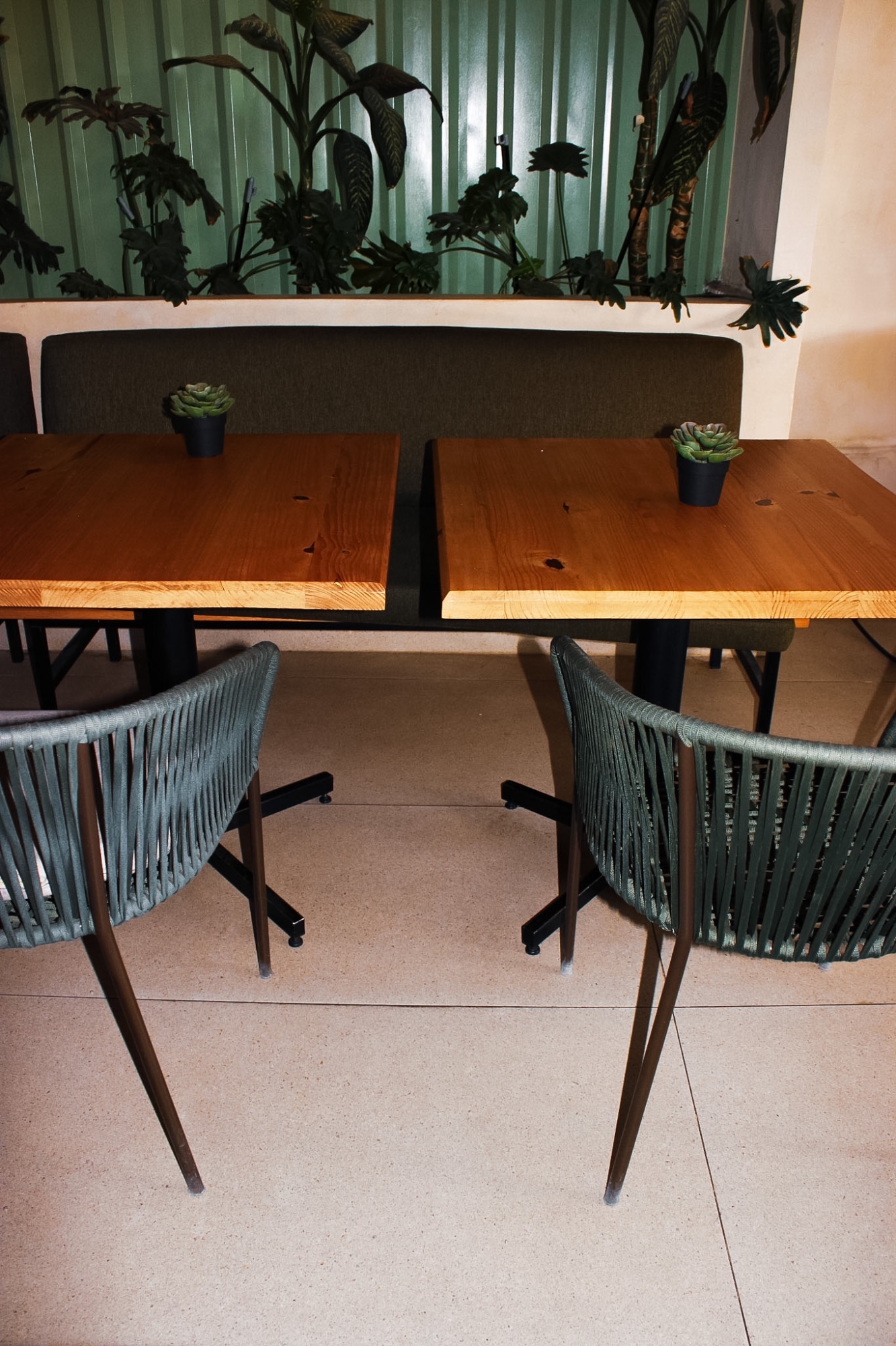 Té Verde Café