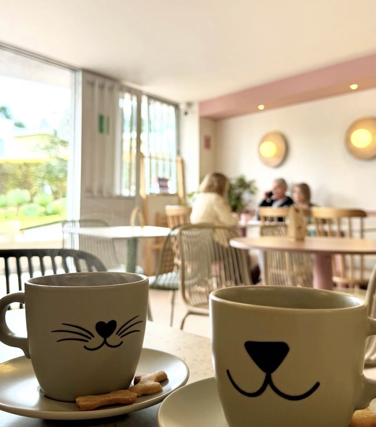Florajoy Pets | All day brunch • Pet Café • Coworking