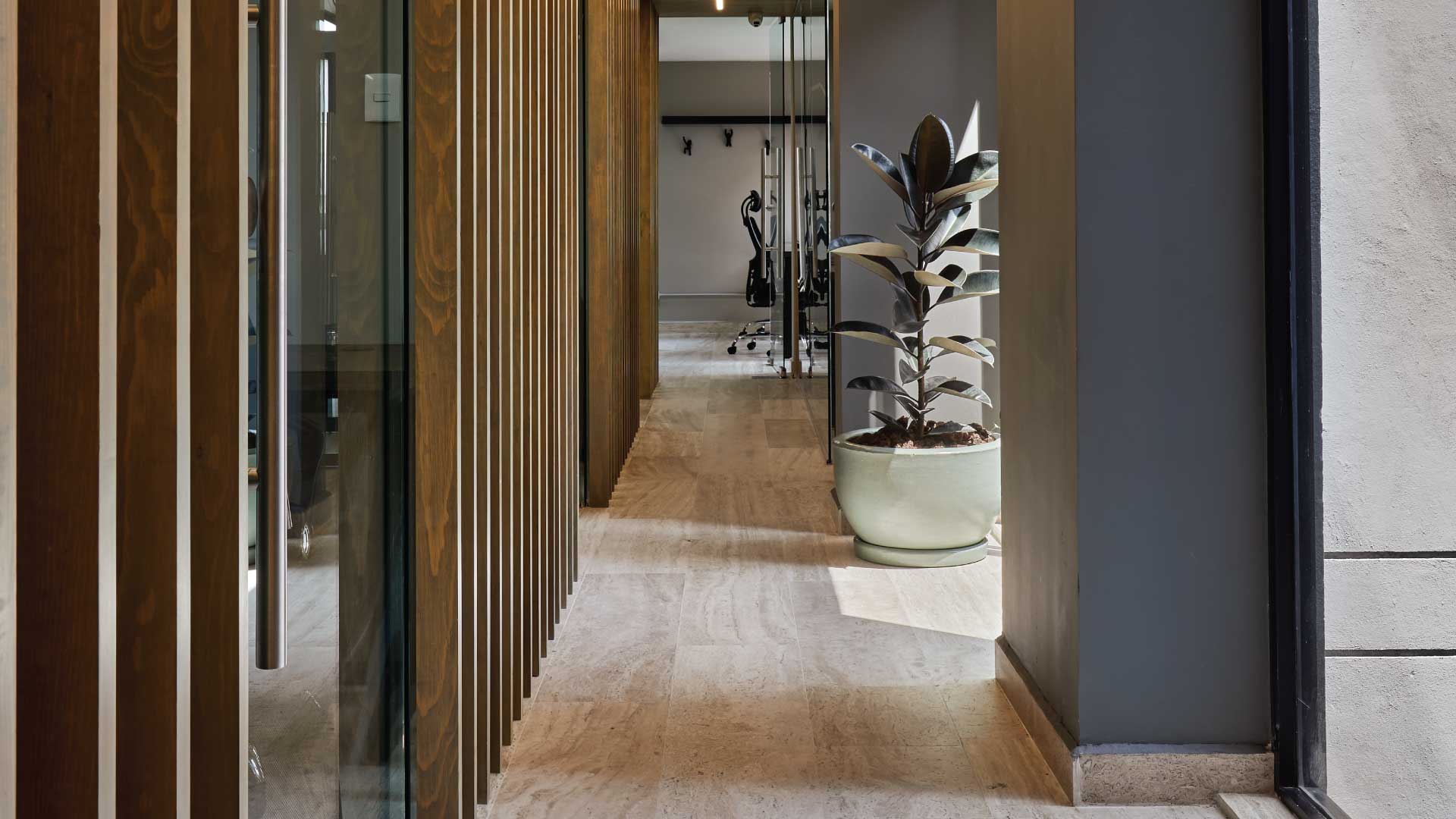 Colony Spaces Campos Eliseos