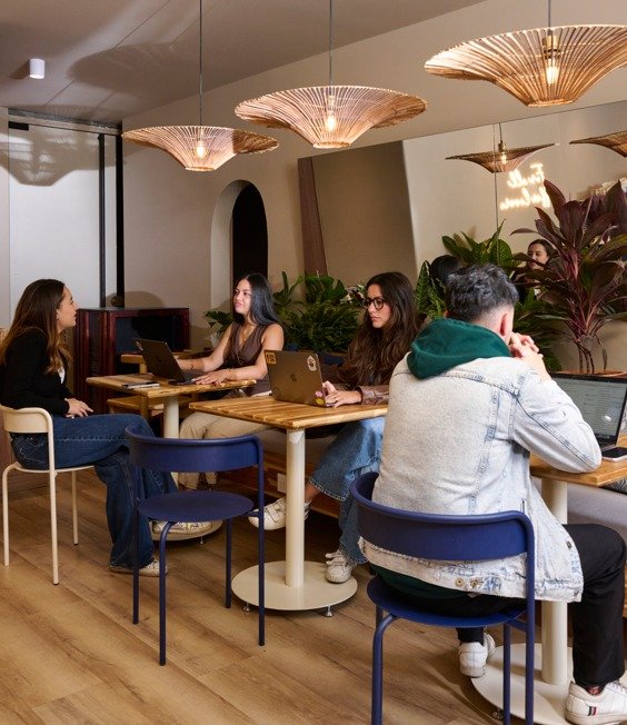 Libertario Coffee Roasters - Salitre
