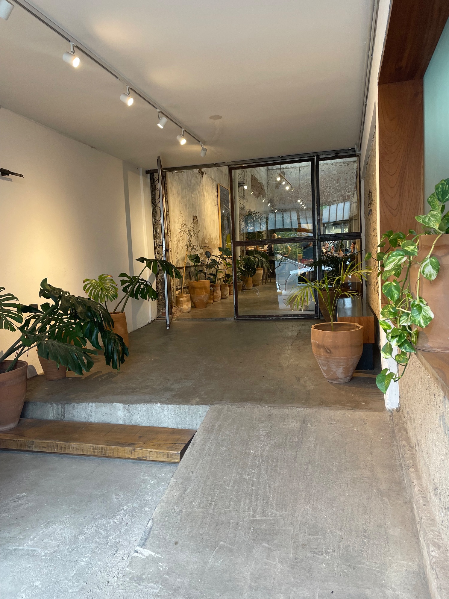 Shiok Coffee Roasters - La Tablada