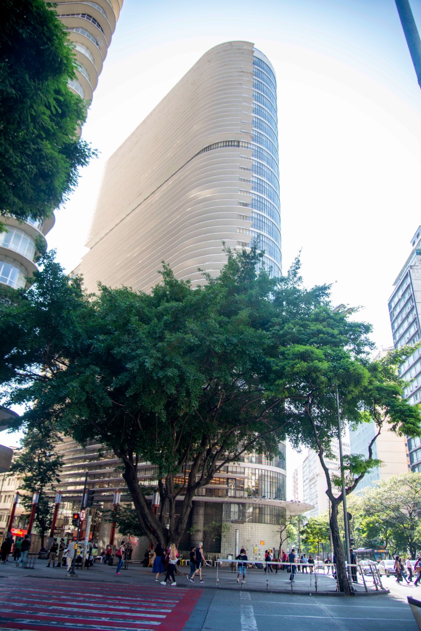 P7 Criativo - Brazilia - Belo Horizonte