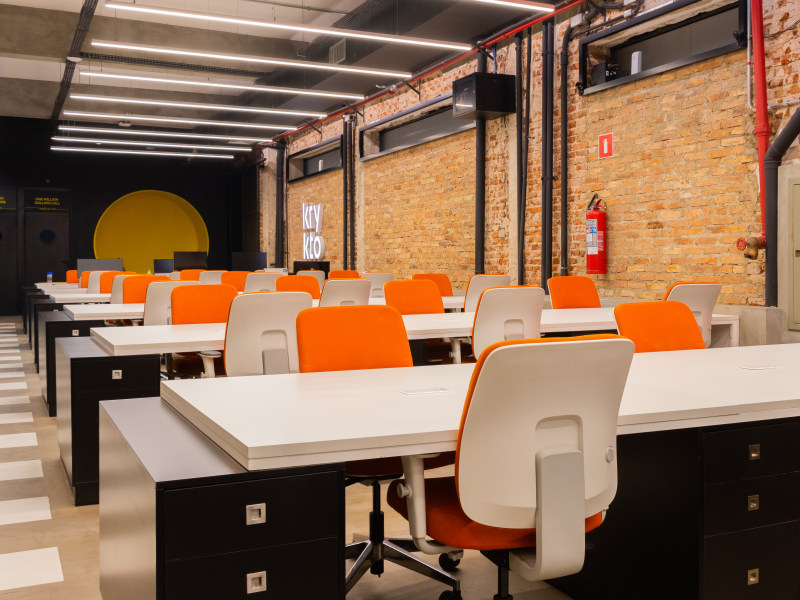 NEWDUCA - Brazilia - Ribeirão Preto