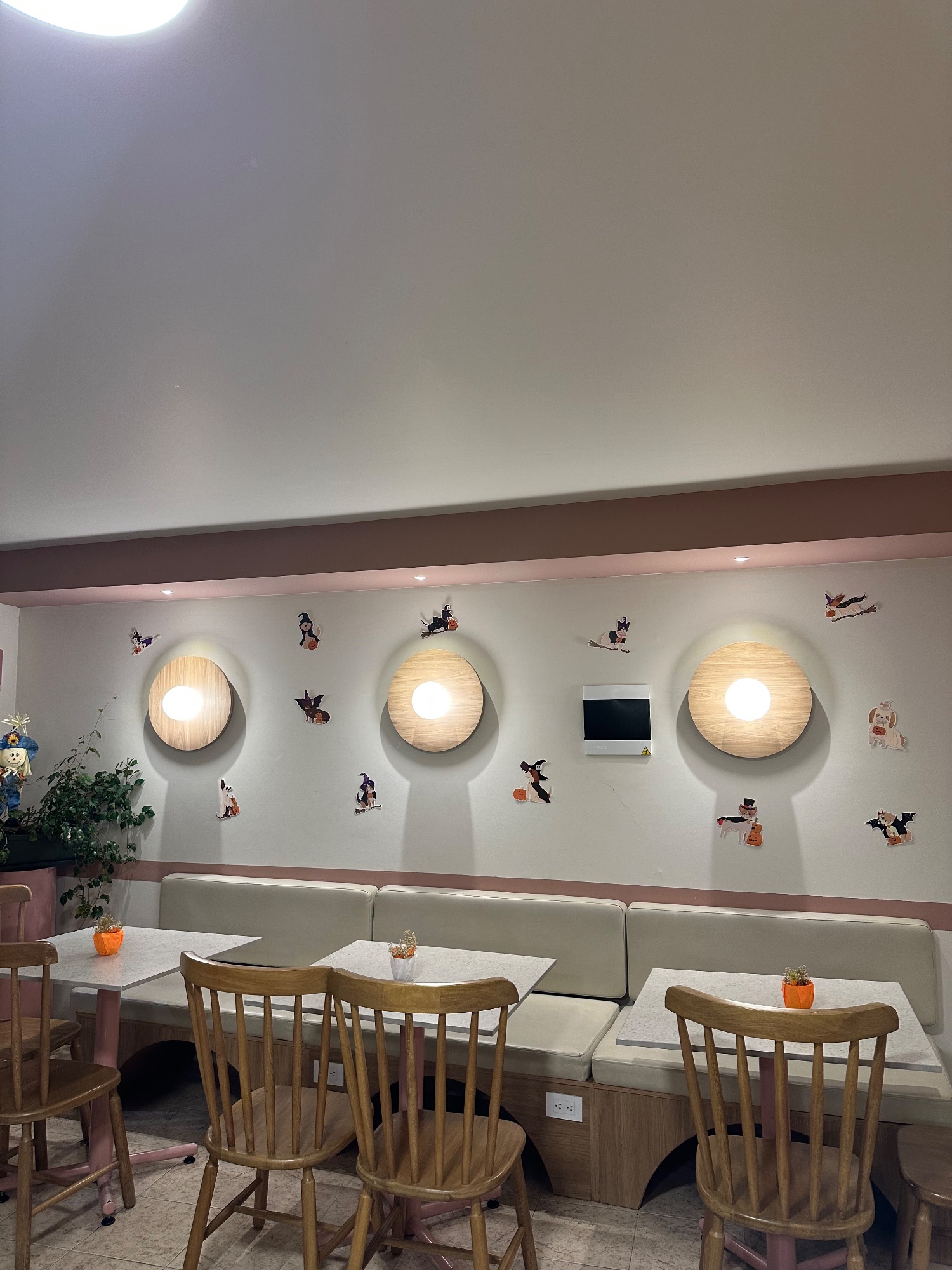 Florajoy Pets | All day brunch • Pet Café • Coworking