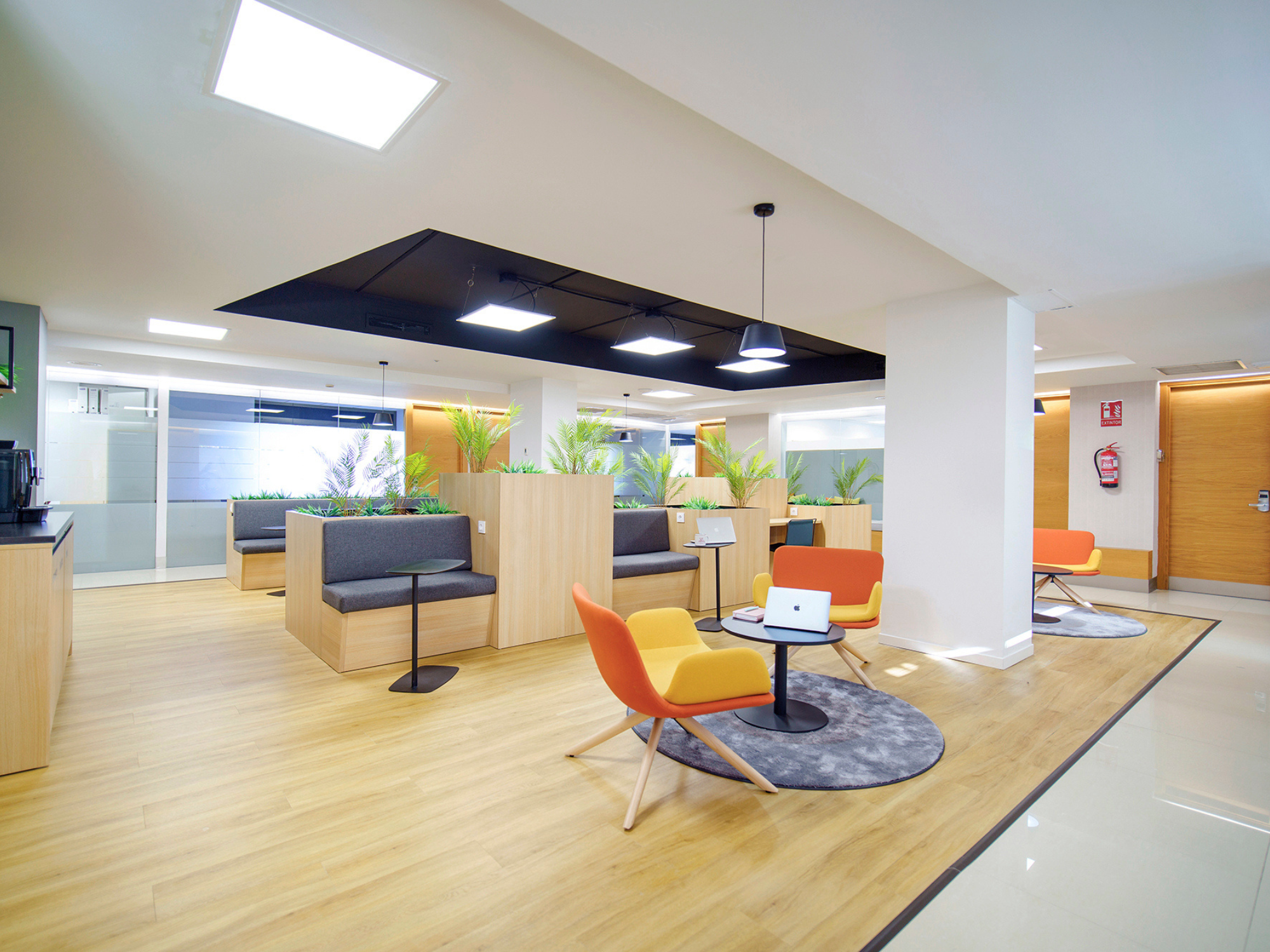 Lexington La Moraleja