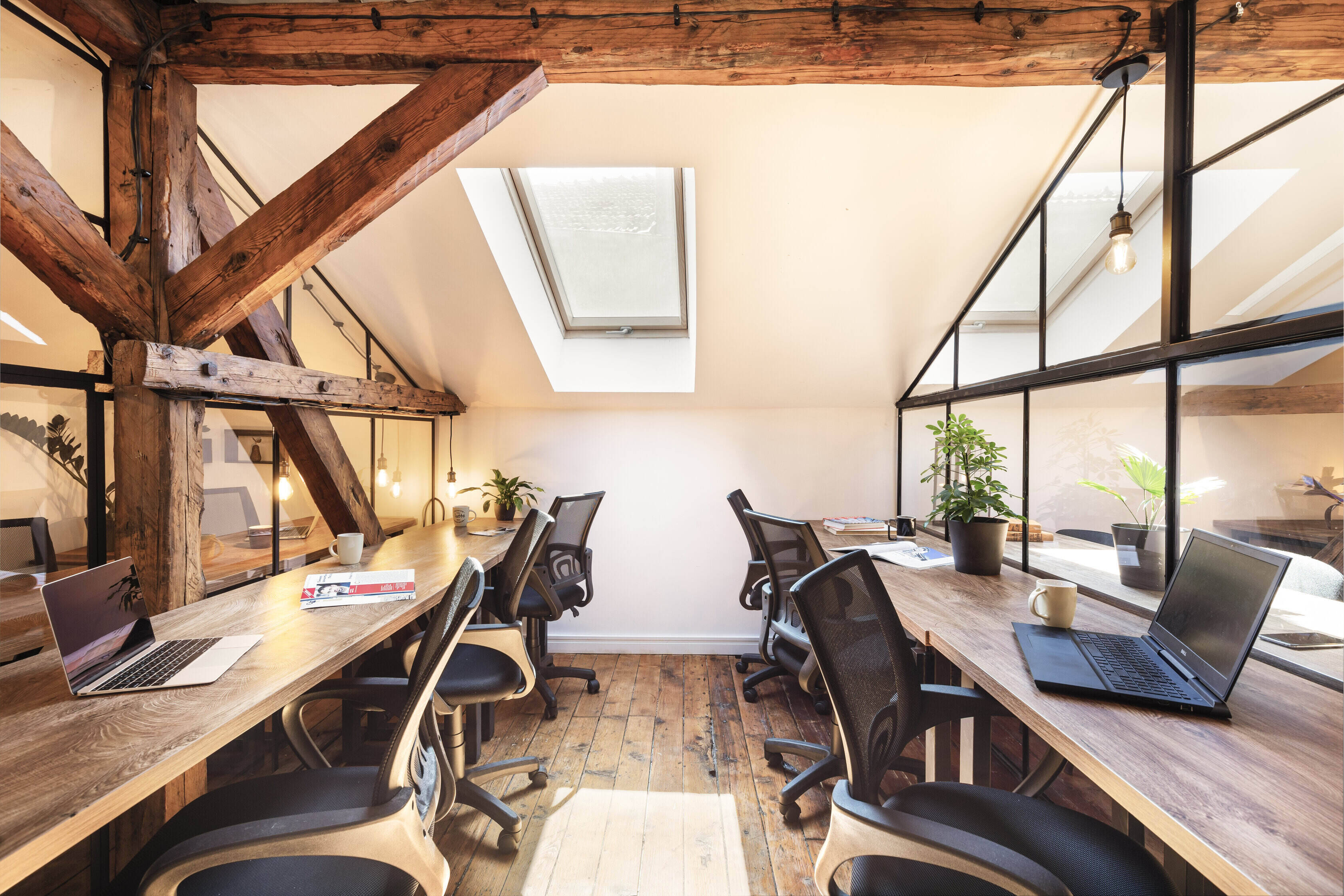 NETWORKING Premium Coworking Botev