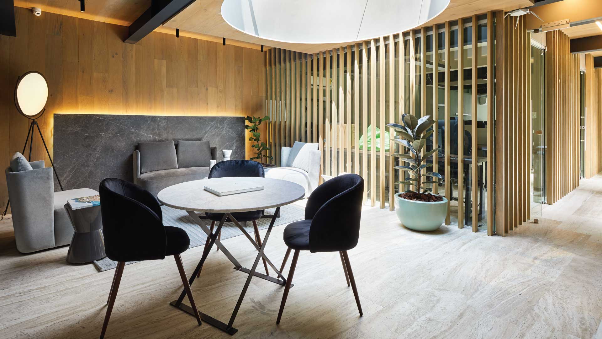 Colony Spaces Campos Eliseos