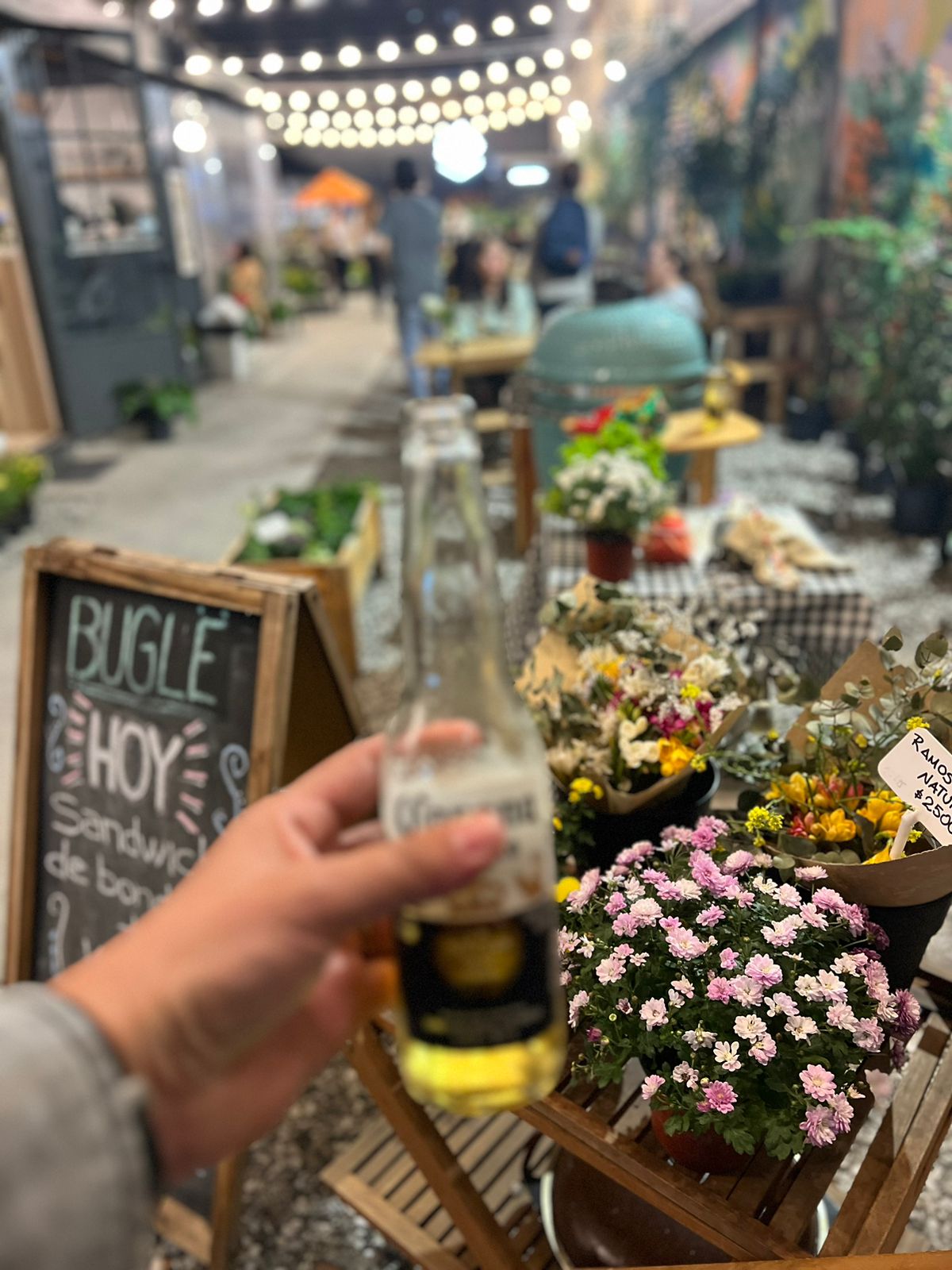 Buglë - Vivero Café