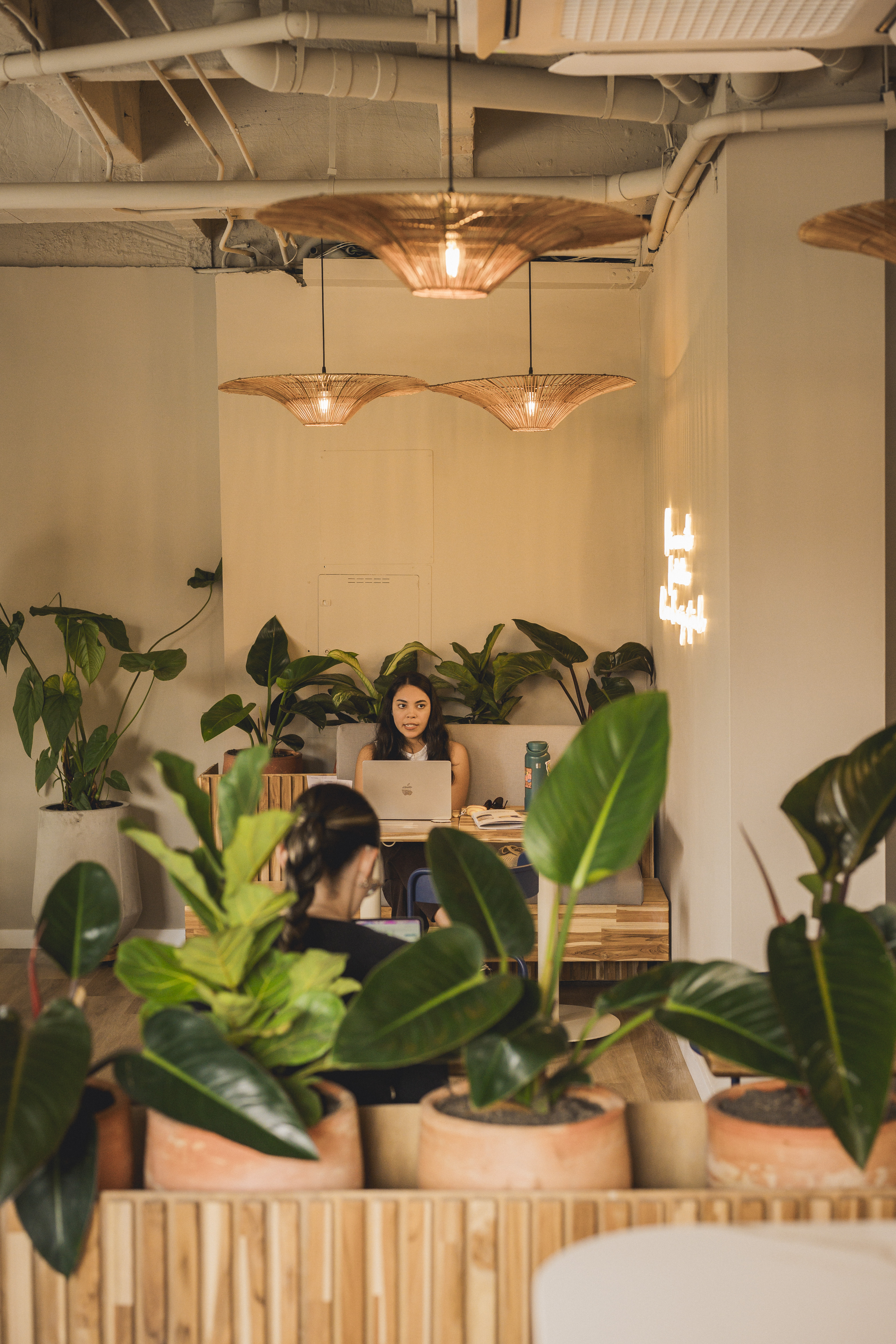 Libertario Coffee Roasters - Laureles