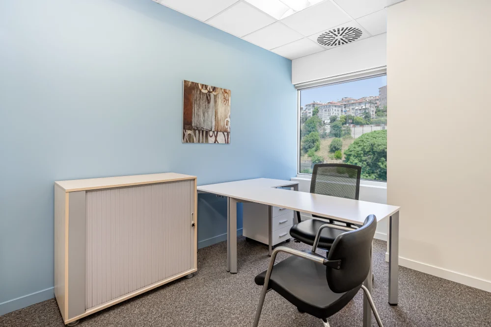 Regus - Istanbul, Besiktas Selenium