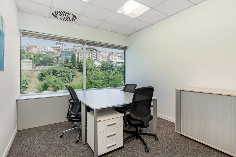 Regus - Istanbul, Besiktas Selenium